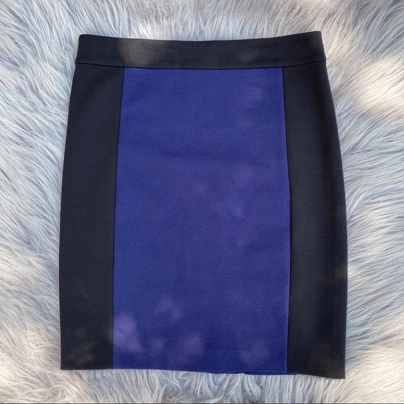 Club Monaco Blue/Black Skirt